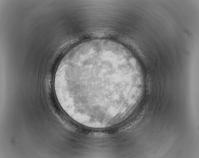 X0000111040590200908061458