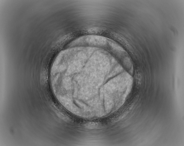 X0000111040593200908061458