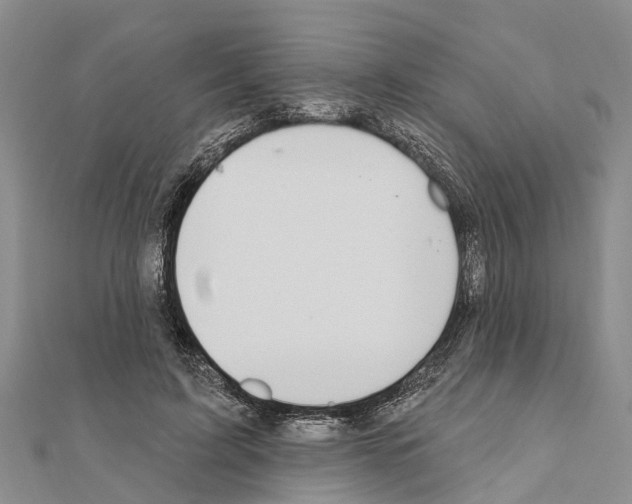 X0000111040595200908061458