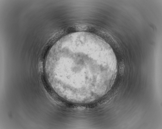 X0000111040598200908061458