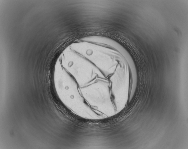 X0000111040599200908061458