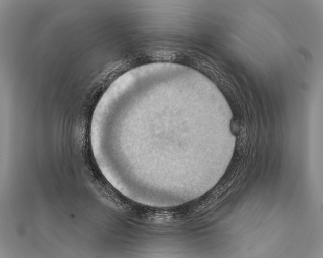 X0000111040600200908061458