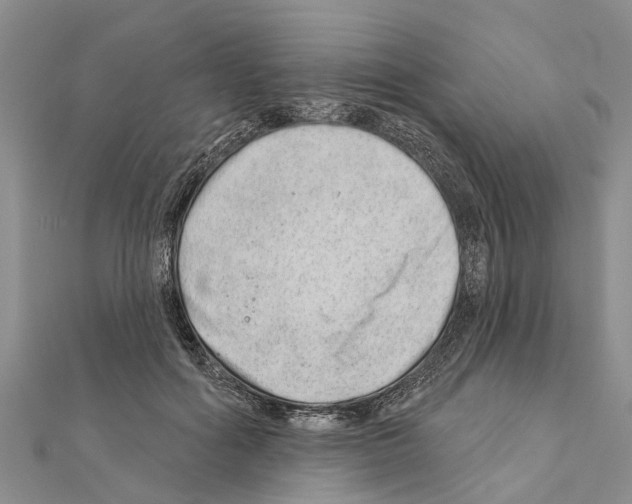 X0000111040602200908061458