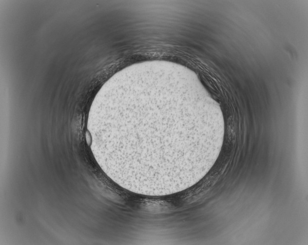 X0000111040605200908061458