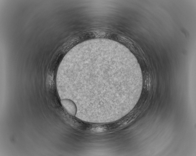 X0000111040610200908061458