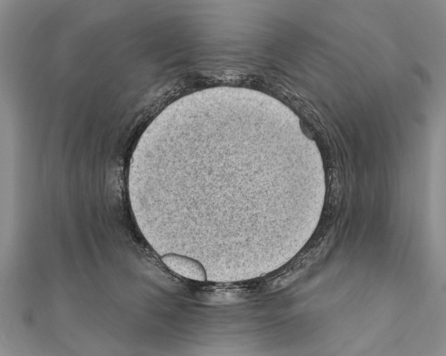 X0000111040612200908061458