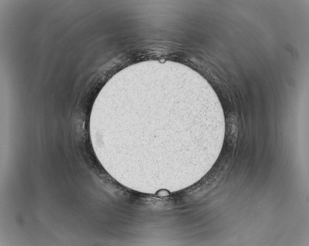 X0000111040615200908061458