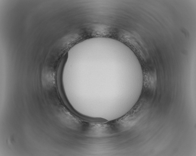 X0000111040621200908061458