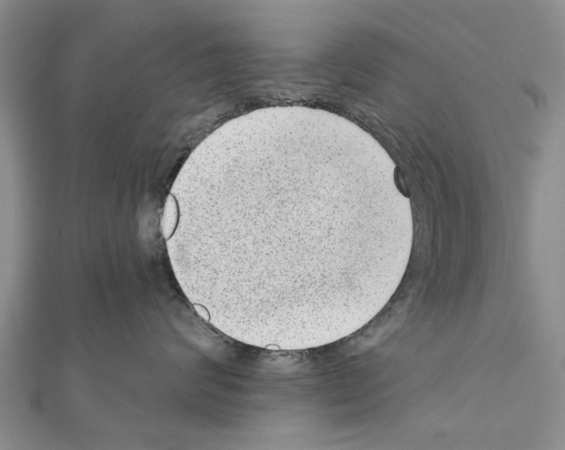 X0000111040624200908061458