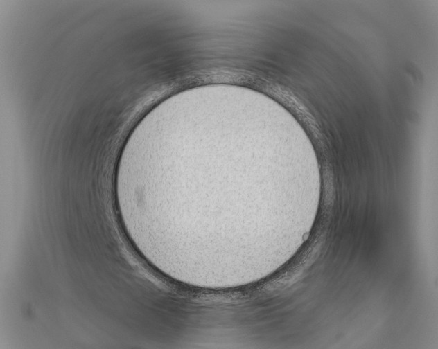 X0000111040625200908061457