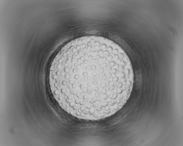 X0000111040626200908061457