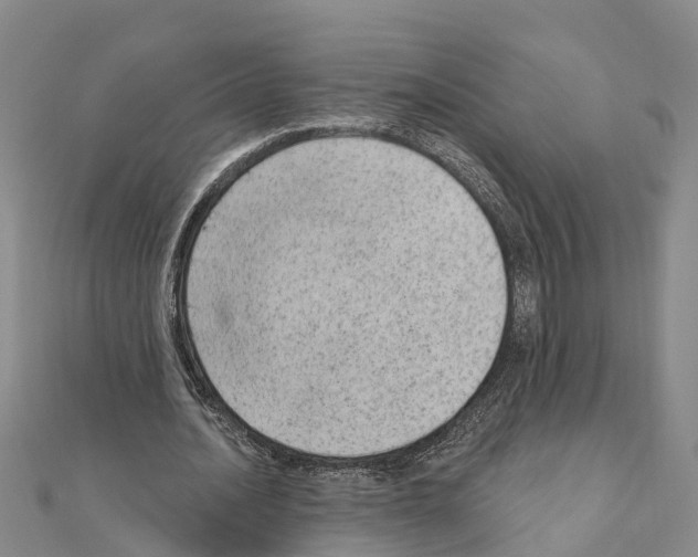 X0000111040628200908061457