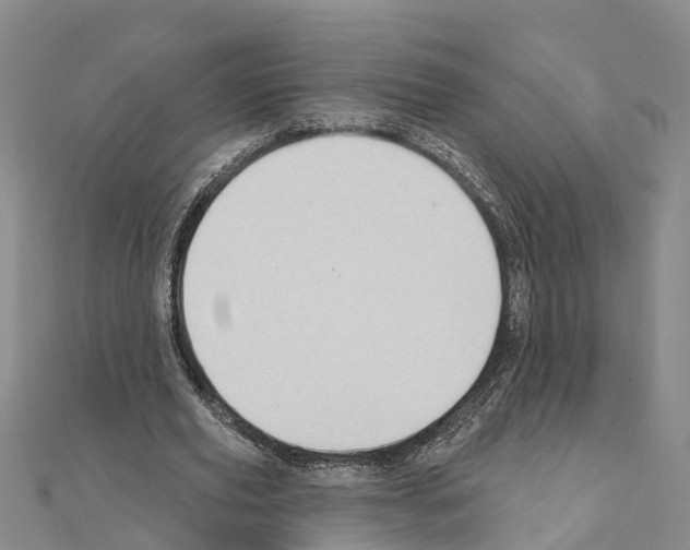 X0000111040629200908061457