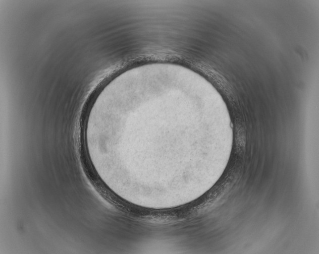 X0000111040630200908061457