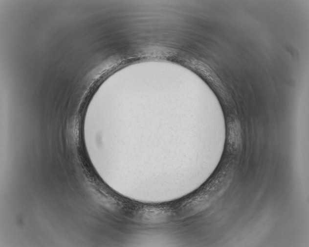 X0000111040632200908061457