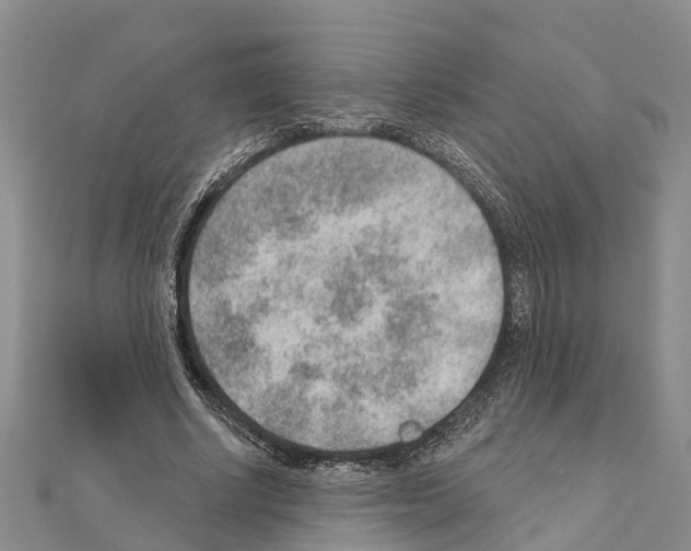 X0000111040634200908061457