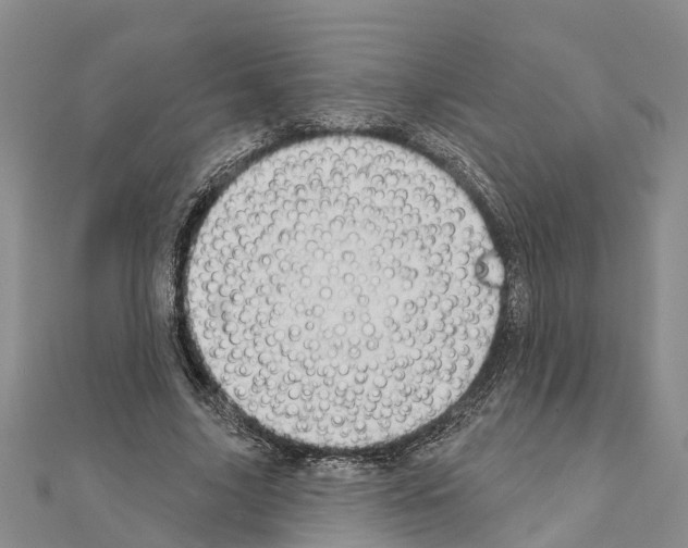 X0000111040635200908061457