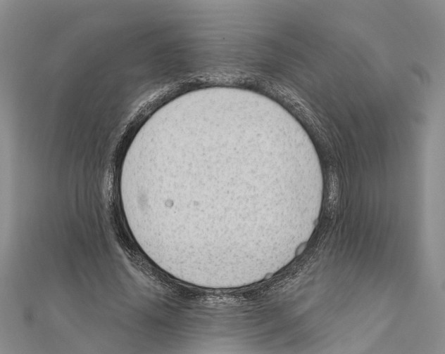 X0000111040636200908061457