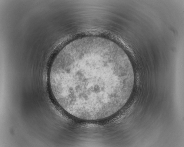 X0000111040637200908061457