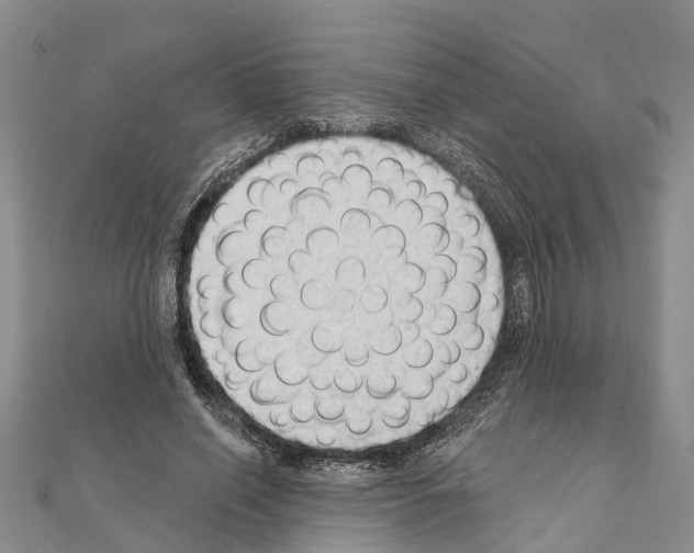 X0000111040638200908061457