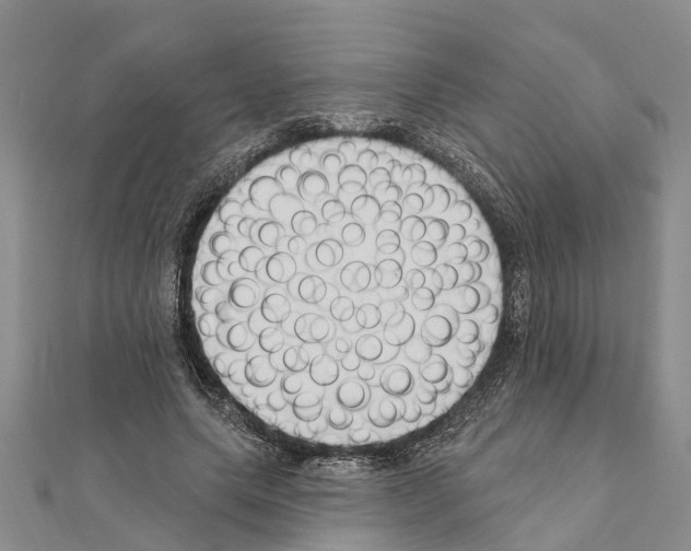 X0000111040639200908061457