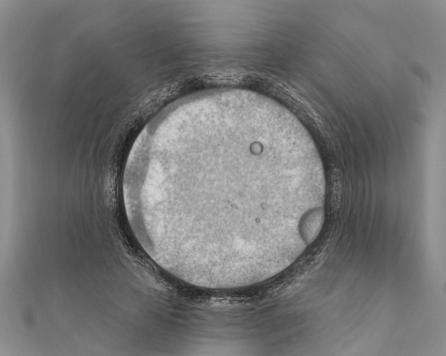 X0000111040641200908061457