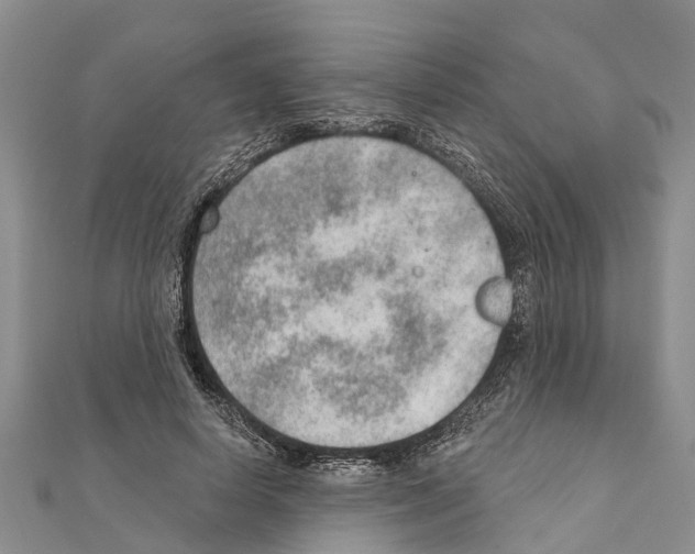 X0000111040642200908061457