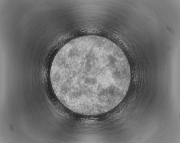 X0000111040643200908061457