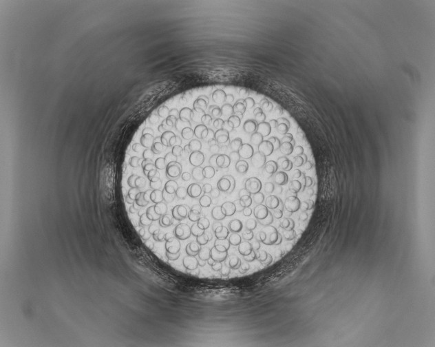 X0000111040646200908061457