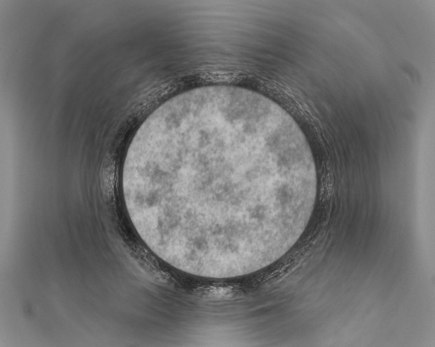 X0000111040647200908061457