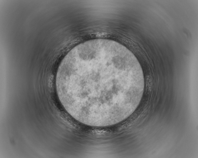 X0000111040650200908061457