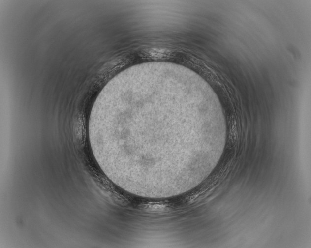 X0000111040651200908061457