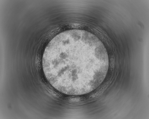 X0000111040653200908061457