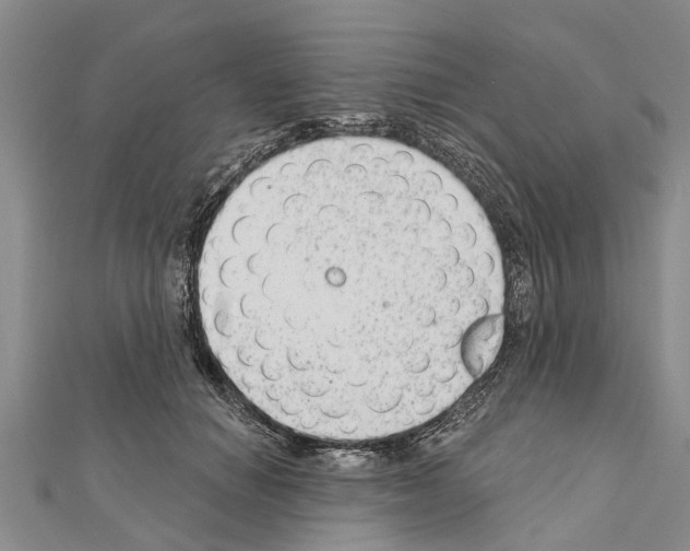 X0000111040654200908061457