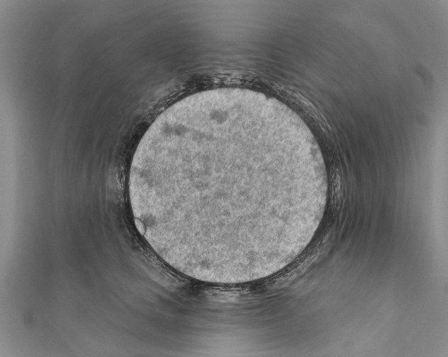 X0000111040661200908061457