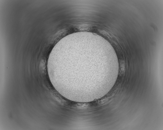 X0000111040667200908061458