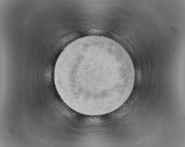 X0000111040668200908061458