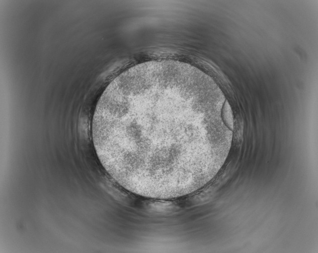 X0000111040669200908061458