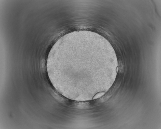 X0000111040670200908061458