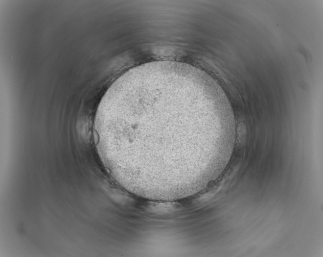 X0000111040671200908061458