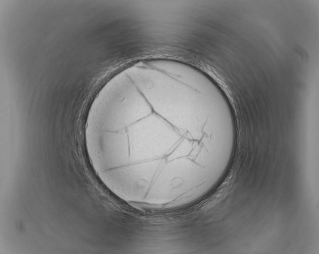 X0000111040673200908061457