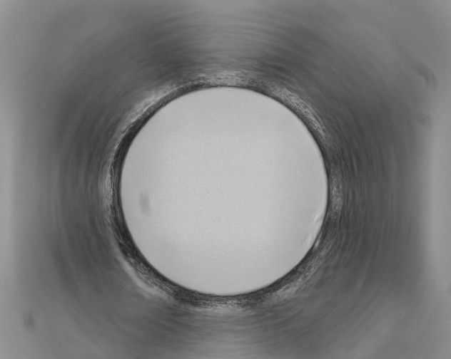 X0000111040674200908061457