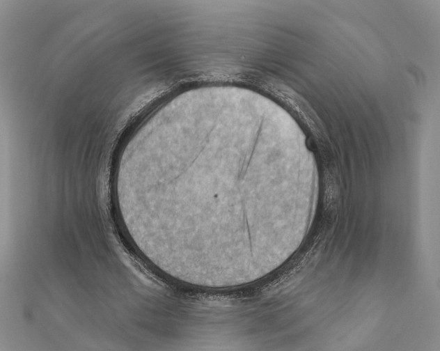 X0000111040677200908061457