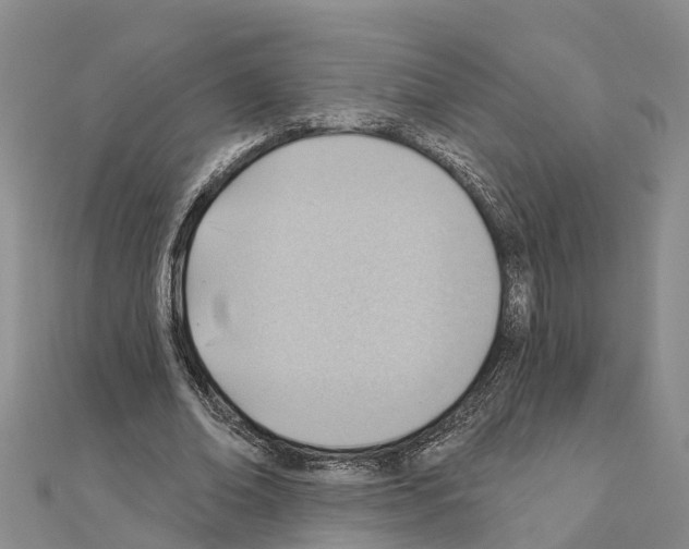 X0000111040678200908061457