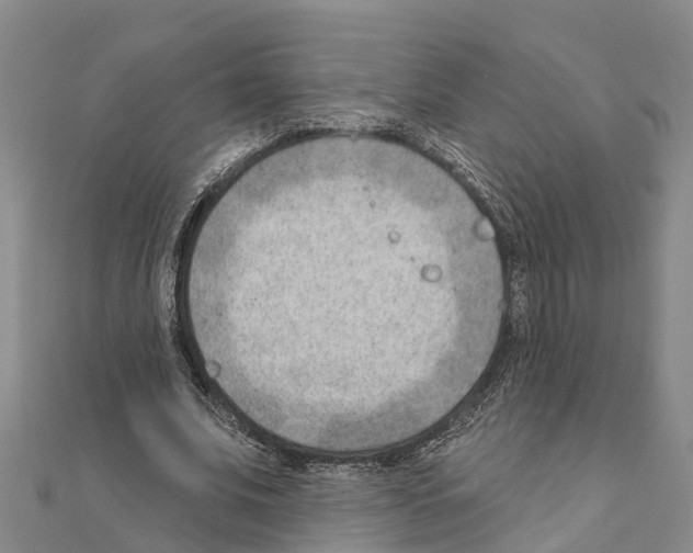 X0000111040679200908061457