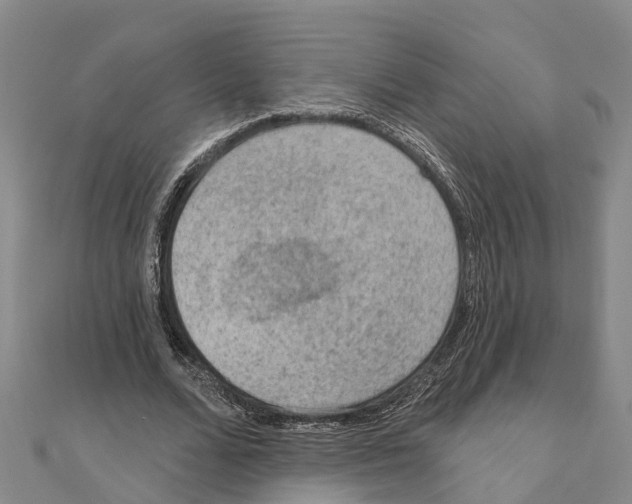 X0000111040680200908061457