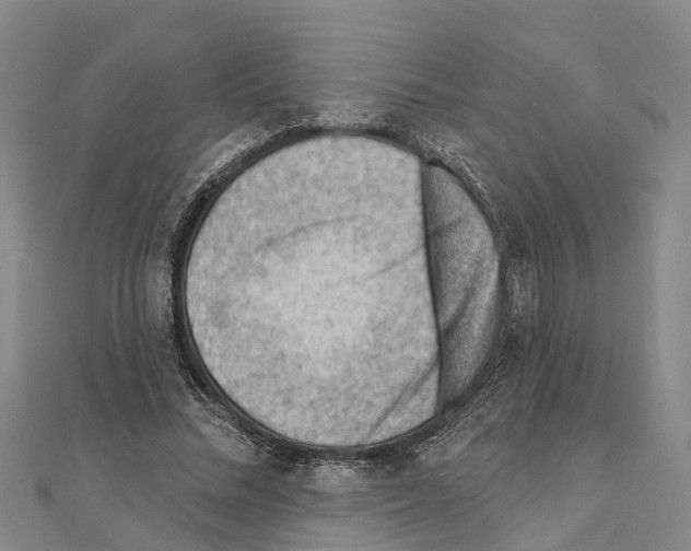 X0000111040684200908061457