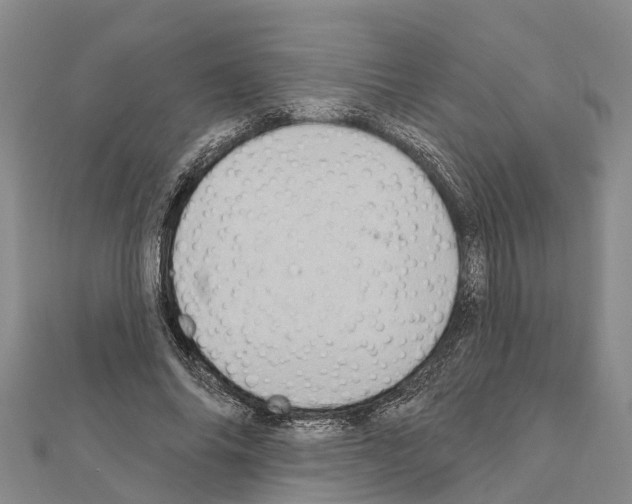 X0000111040686200908061457