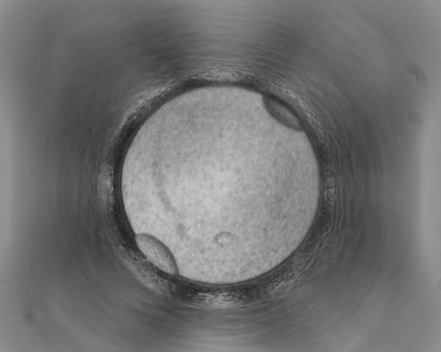 X0000111040688200908061457