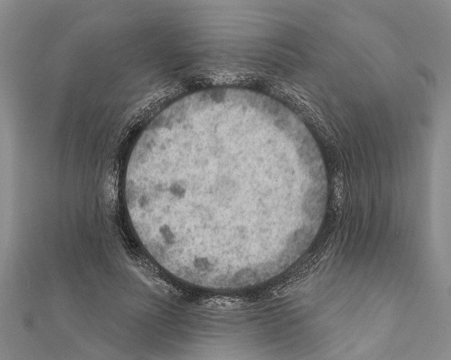 X0000111040691200908061457